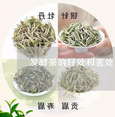 发酵茶的好处和害处/2023032141816