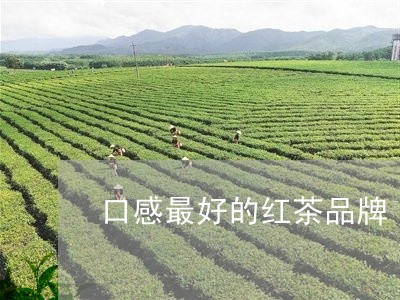 口感最好的红茶品牌/2023041547516