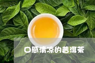 口感清凉的普洱茶/2023041094059