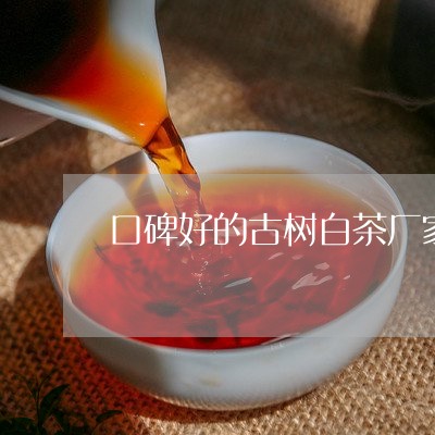 口碑好的古树白茶厂家代理/2023040298360