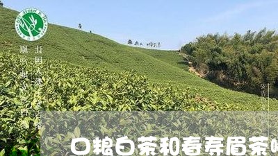 口粮白茶和春寿眉茶哪个好/2023040135388