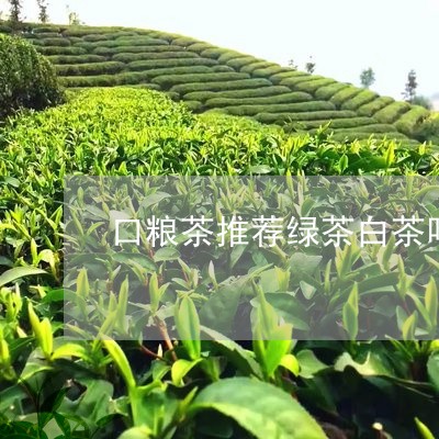 口粮茶推荐绿茶白茶吗女士/2023040121704