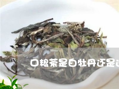 口粮茶是白牡丹还是选贡眉/2023040143617