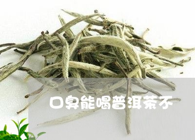 口臭能喝普洱茶不/2023031895359