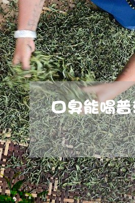 口臭能喝普洱茶不/2023041319270