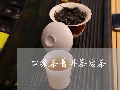 口袋茶普洱茶生茶/2023041037583