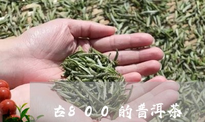 古800的普洱茶/2023041063818