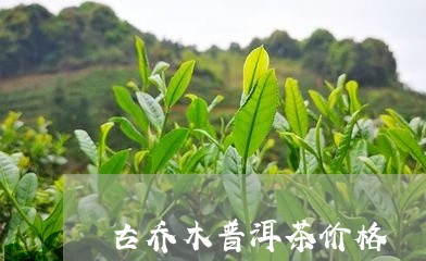 古乔木普洱茶价格/2023031899560