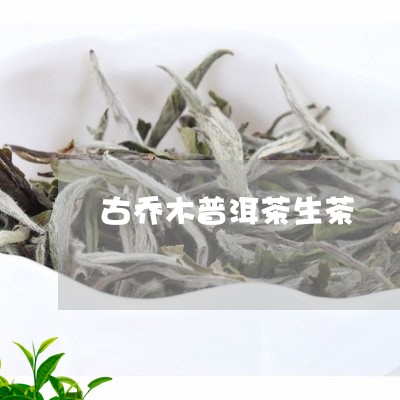 古乔木普洱茶生茶/2023031563015