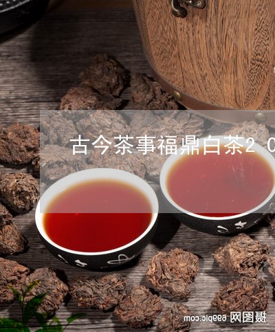 古今茶事福鼎白茶2019/2023033008492