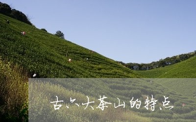 古六大茶山的特点/2023041209583