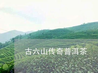 古六山传奇普洱茶/2023041240702