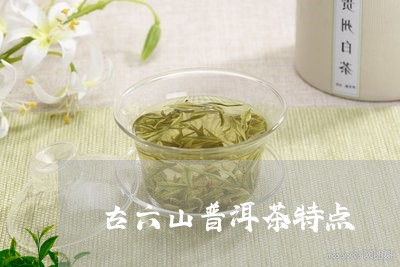 古六山普洱茶特点/2023041325157