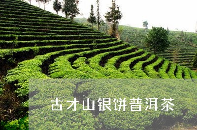 古才山银饼普洱茶/2023033157058