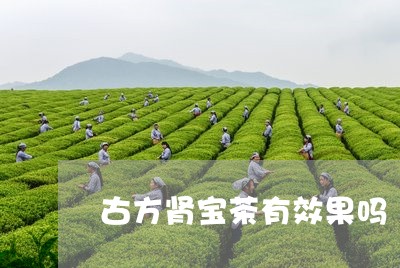 古方肾宝茶有效果吗/2023041515249