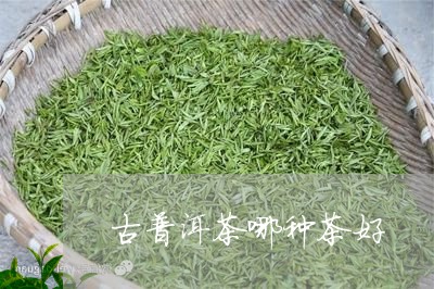 古普洱茶哪种茶好/2023031681635