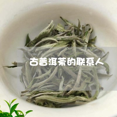 古普洱茶的联系人/2023033181596