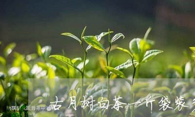 古月树白茶一斤袋装多少钱/2023040214948