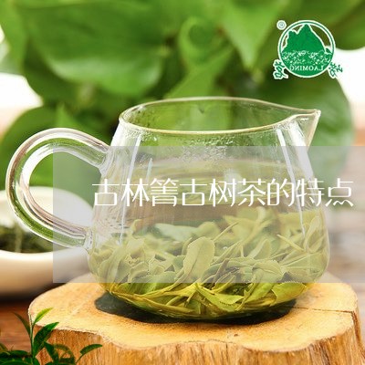 古林箐古树茶的特点/2023032274836