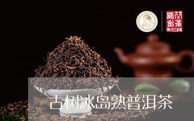 古树冰岛熟普洱茶/2023031719593