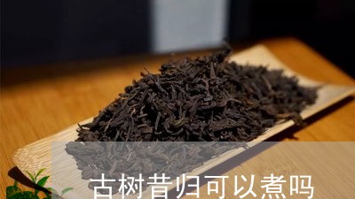 古树昔归可以煮吗/2023032675060