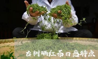 古树晒红茶口感特点/2023032157279