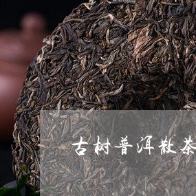 古树普洱散茶图片/2023032966251