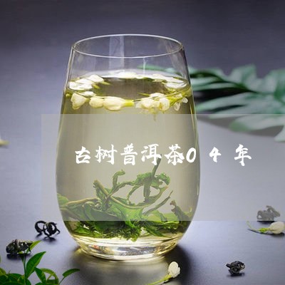 古树普洱茶04年/2023040197373