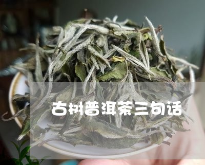 古树普洱茶三句话/2023033077282