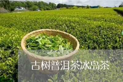 古树普洱茶冰岛茶/2023031755169