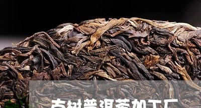 古树普洱茶加工厂/2023033070795