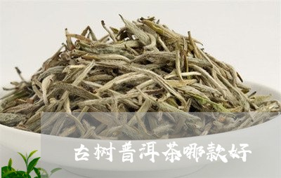 古树普洱茶哪款好/2023033197369