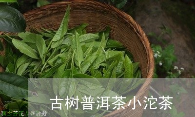 古树普洱茶小沱茶/2023031610562