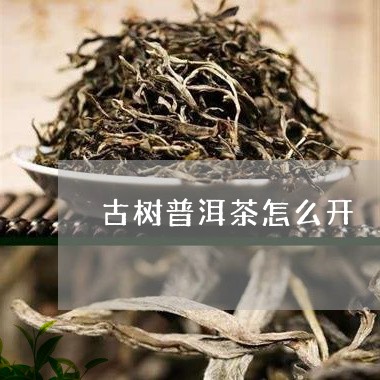 古树普洱茶怎么开/2023031763369