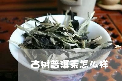 古树普洱茶怎么样/2023041385362