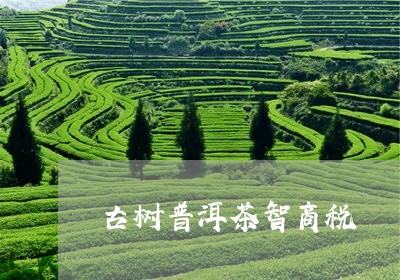 古树普洱茶智商税/2023040147271