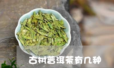 古树普洱茶有几种/2023031717824