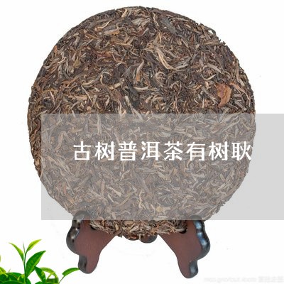 古树普洱茶有树耿/2023033197270