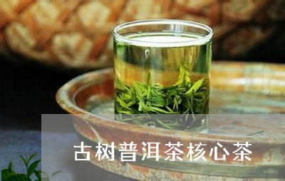 古树普洱茶核心茶/2023041169471