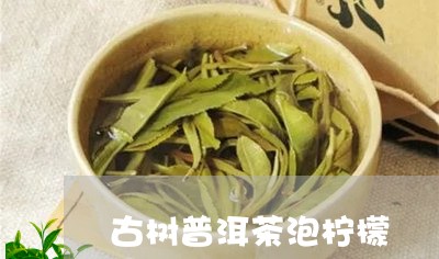 古树普洱茶泡柠檬/2023031727379