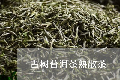 古树普洱茶熟散茶/2023031641836