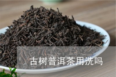 古树普洱茶用洗吗/2023031650490