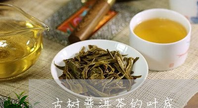 古树普洱茶的叶底/2023033100694