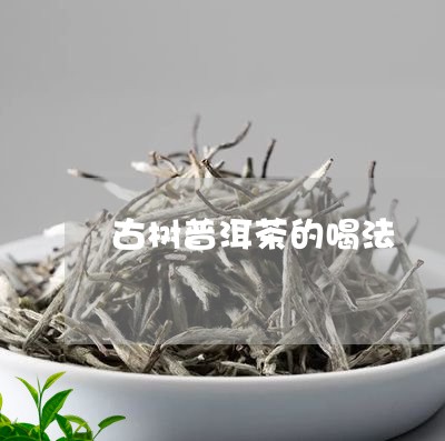 古树普洱茶的喝法/2023041390614