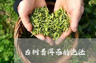 古树普洱茶的泡法/2023031892937