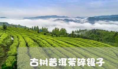 古树普洱茶碎银子/2023031777168