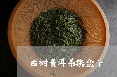 古树普洱茶铁盒子/2023033181515