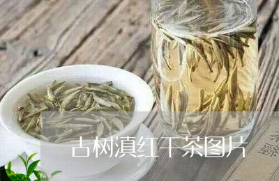 古树滇红干茶图片/2023033071626