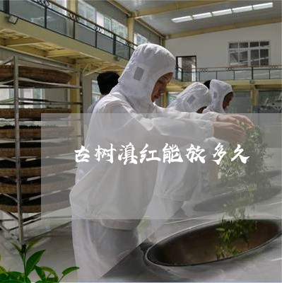 古树滇红能放多久/2023033056238