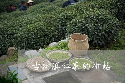 古树滇红茶的价格/2023032920703